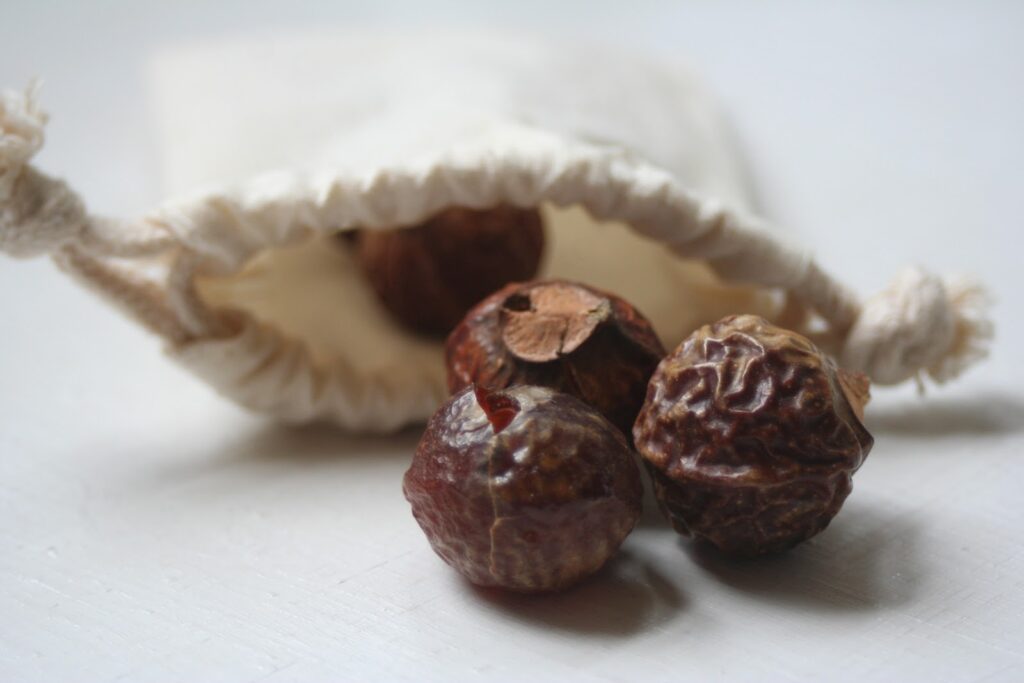 Soap Nuts