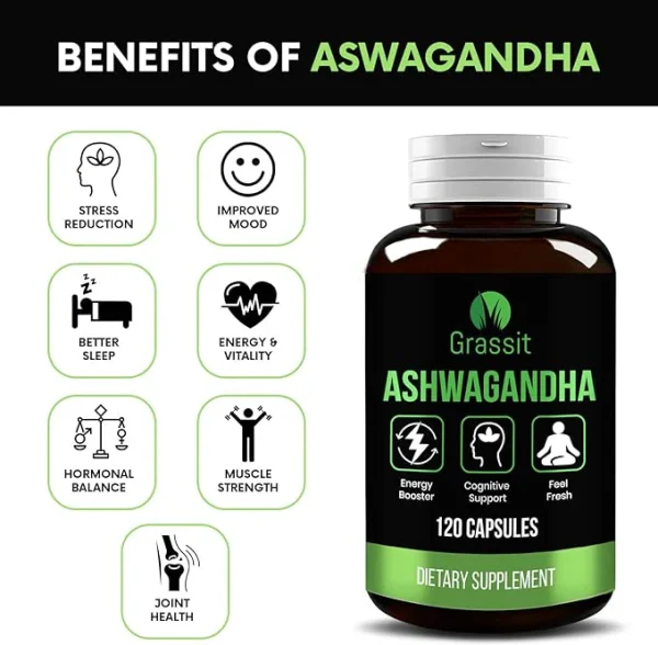 Pure Ashwagandha Supplement 500 mg | 120 Capsules - Image 6