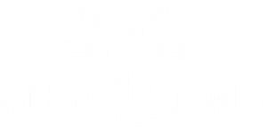 Qudriworld White logo